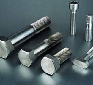 SS Fasteners