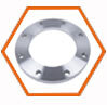Stainless Steel 317/317L Plate Flanges