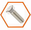 Stainless Steel 317 / 317L Bolts