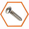 Stainless Steel 317/317L Screw